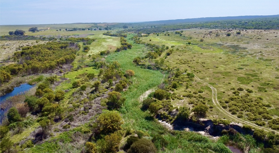 0 Bedroom Property for Sale in Cape Farms Western Cape